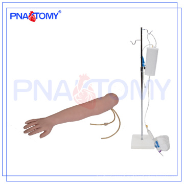 PNT-TA002 Modelo de Treinamento de Enfermagem por Punção de Braço IV